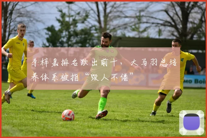 李梓嘉排名跌出前十，大马羽总培养体系被指“毁人不倦”
