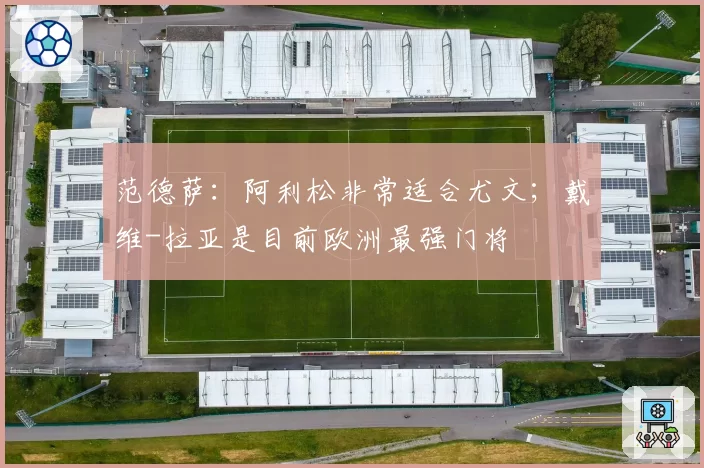 范德萨:阿利松非常适合尤文;戴维-拉亚是目前欧洲最强门将