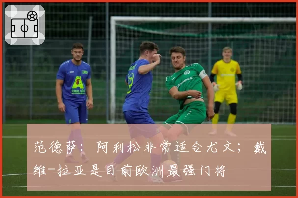 范德萨:阿利松非常适合尤文;戴维-拉亚是目前欧洲最强门将