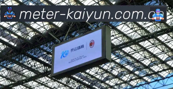 安全防护与风控机制